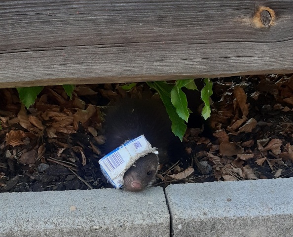 20220519_145906_resized zugeschnitten groß.jpg